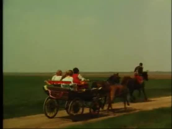 Josefines zuhaelter (starlight-film m 8)
